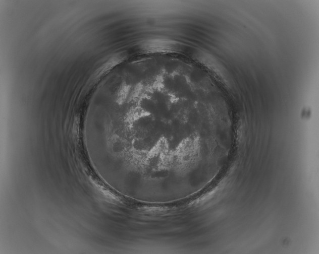 X0000092250825200709281142