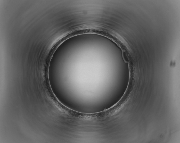 X0000092250826200709281142