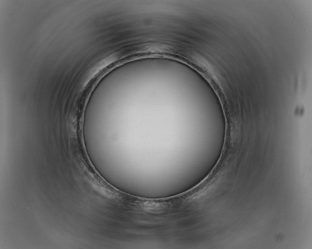 X0000092250827200709281142