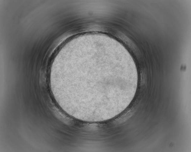 X0000092250828200709281142