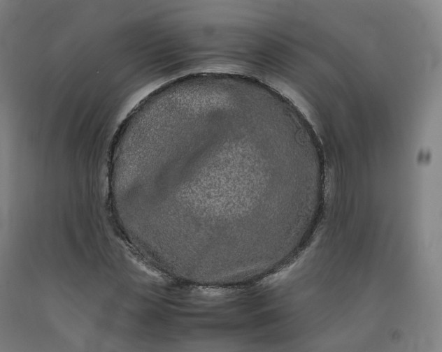 X0000092250829200709281142