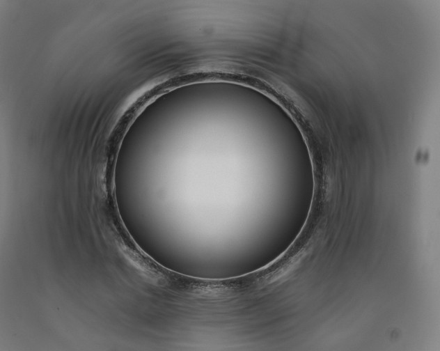 X0000092250830200709281142