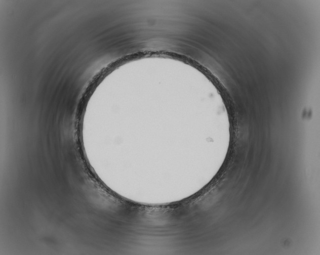 X0000092250832200709281142