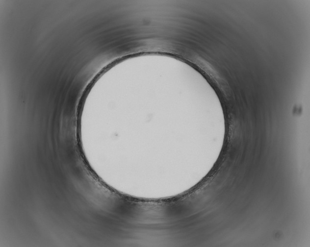 X0000092250836200709281142