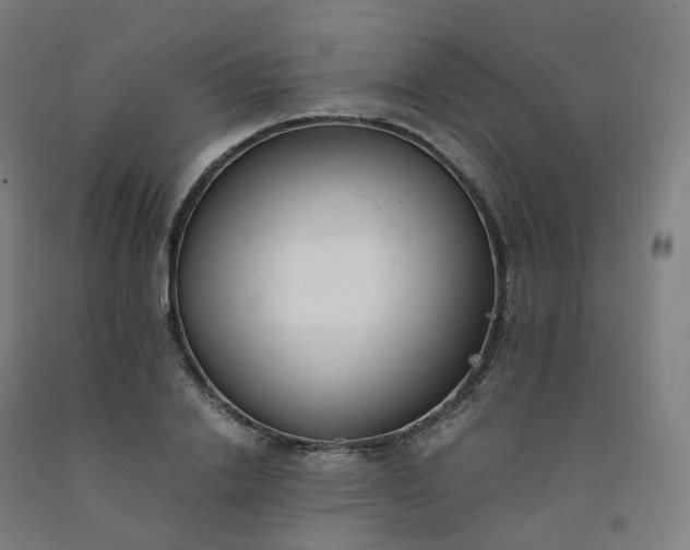 X0000092250838200709281142