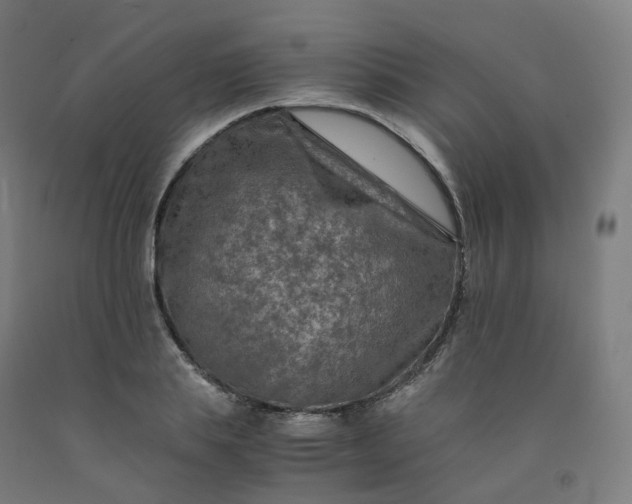 X0000092250839200709281142