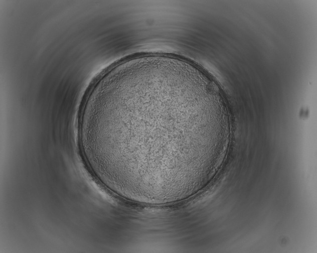 X0000092250840200709281142