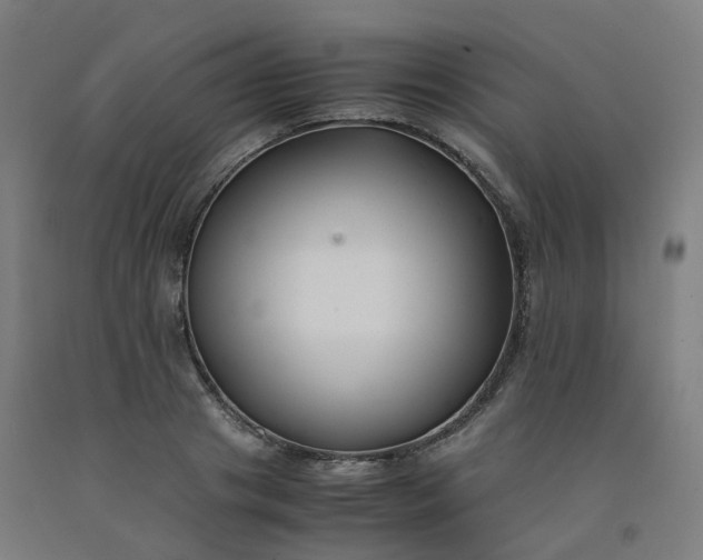 X0000092250841200709281142