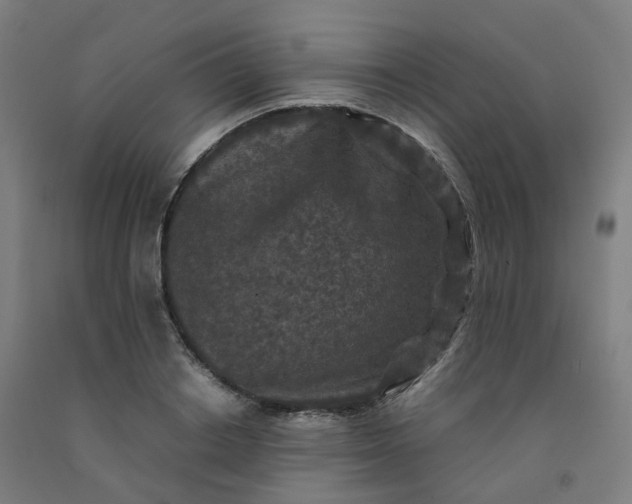 X0000092250842200709281142