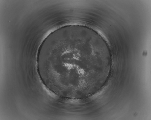 X0000092250845200709281142