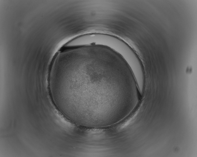 X0000092250846200709281142