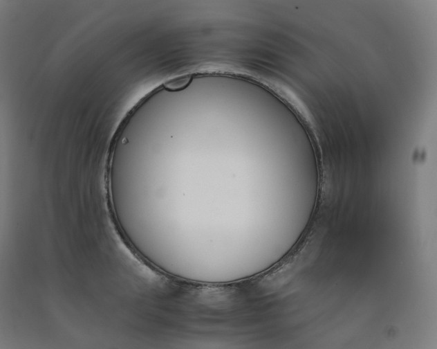 X0000092250847200709281142