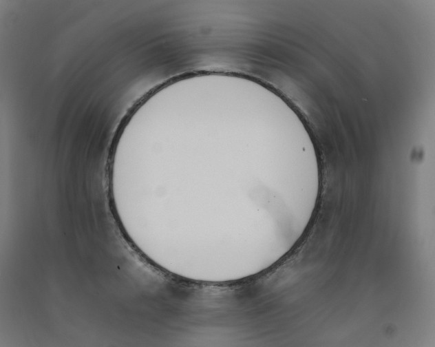 X0000092250848200709281142