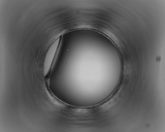 X0000092250849200709281142