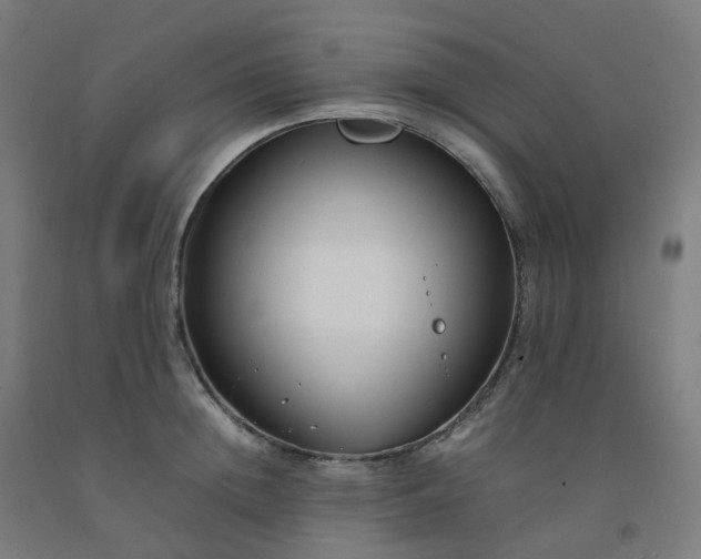 X0000092250852200709281142