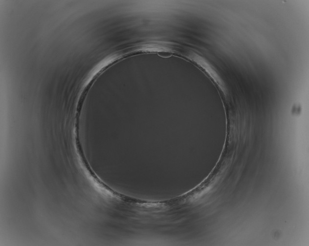 X0000092250853200709281142