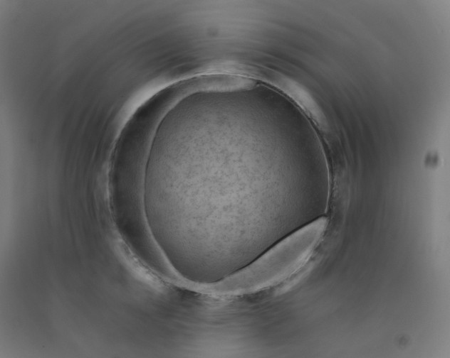 X0000092250854200709281142