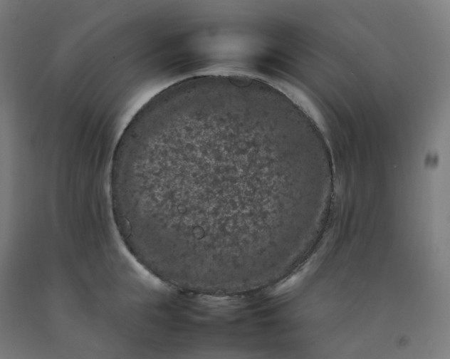 X0000092250855200709281142