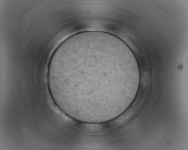 X0000092250856200709281142