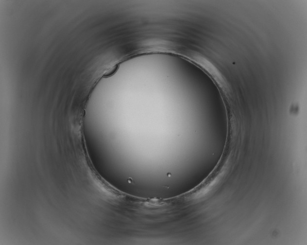 X0000092250857200709281142