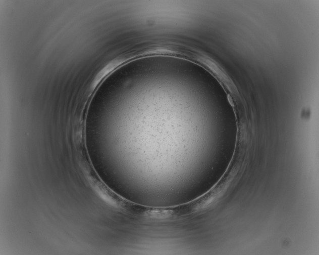 X0000092250858200709281142