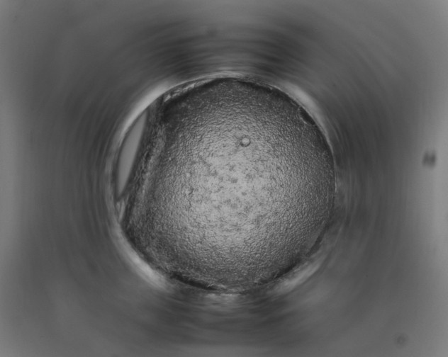 X0000092250859200709281142