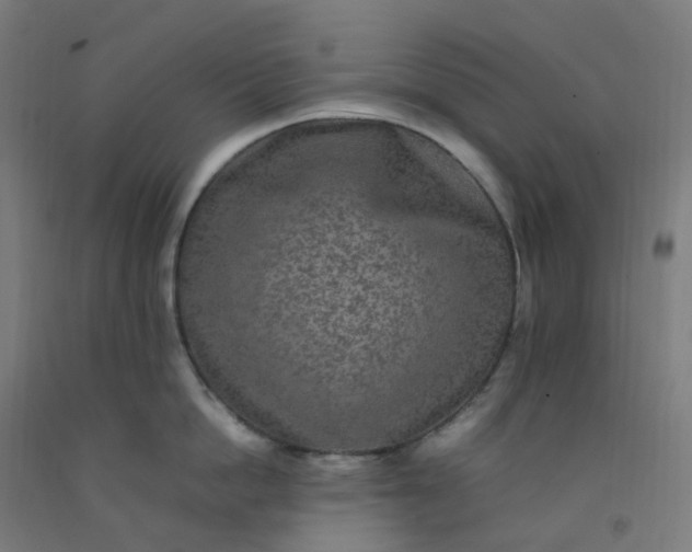 X0000092250862200709281142