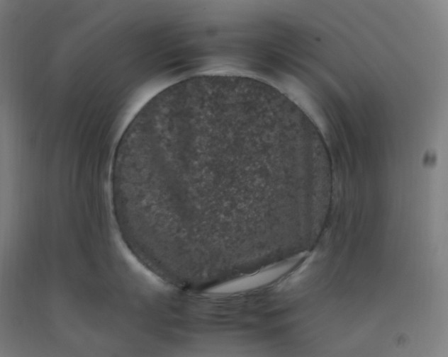 X0000092250863200709281142