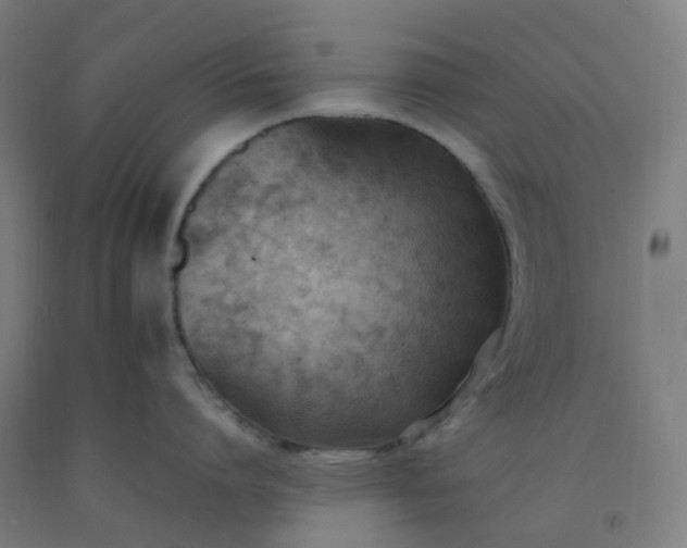 X0000092250864200709281142