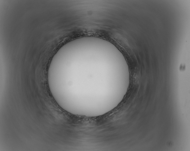 X0000092250865200709281142