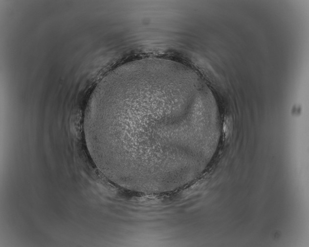 X0000092250867200709281142