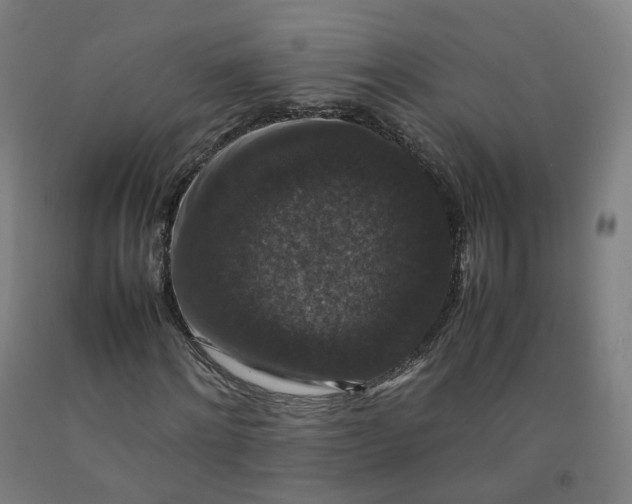 X0000092250868200709281142