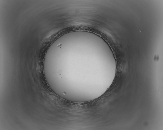 X0000092250869200709281142