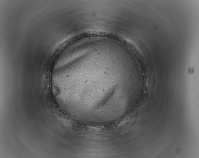 X0000092250870200709281142