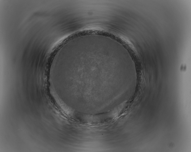 X0000092250872200709281142