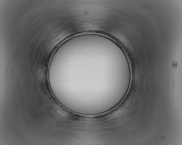 X0000092250873200709281142