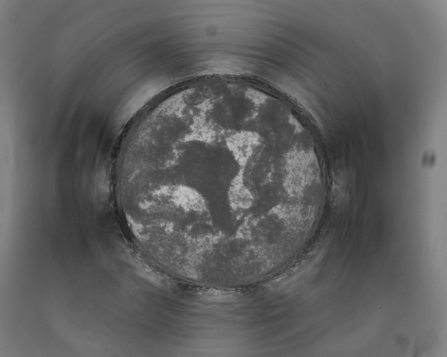 X0000092250874200709281142