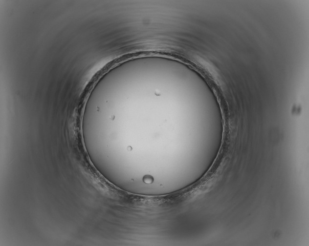 X0000092250875200709281142