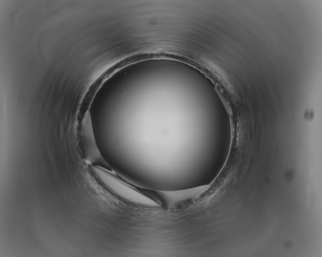 X0000092250876200709281142