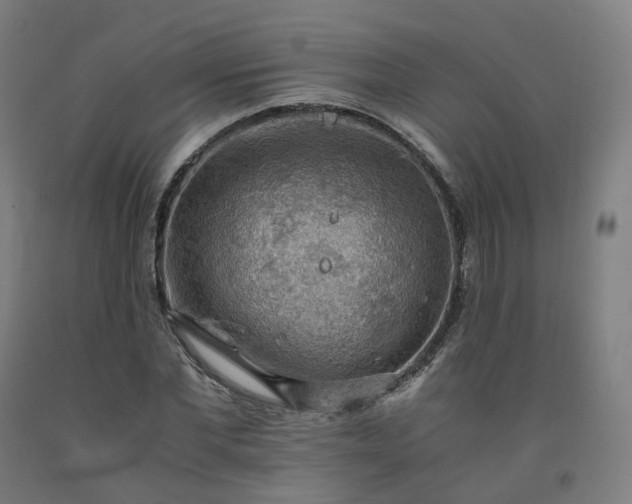 X0000092250877200709281142