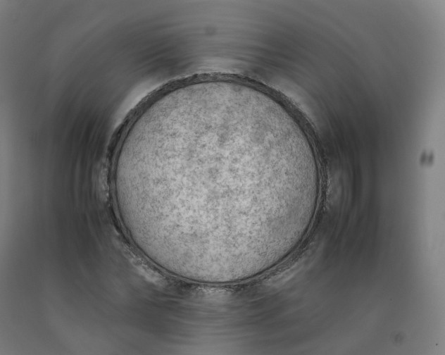 X0000092250878200709281142