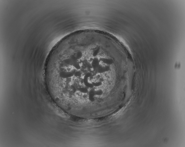 X0000092250879200709281142