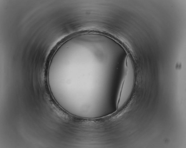 X0000092250880200709281142