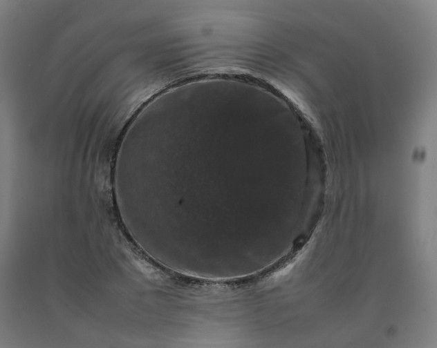 X0000092250881200709281142