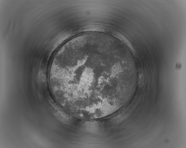 X0000092250882200709281142