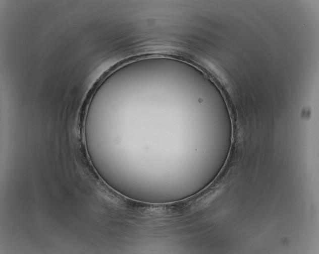 X0000092250883200709281142