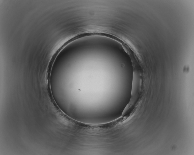 X0000092250885200709281142