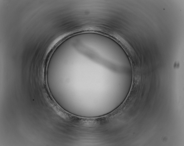 X0000092250886200709281142