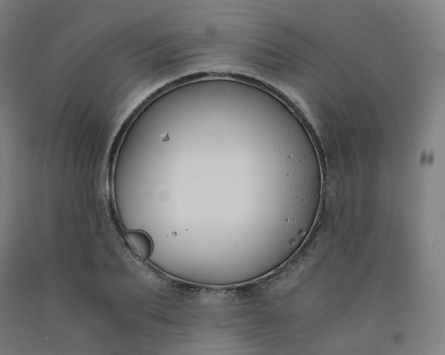 X0000092250887200709281142