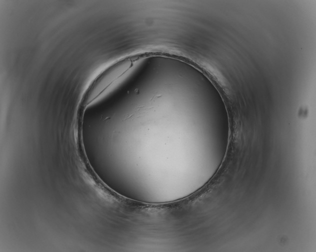 X0000092250888200709281142